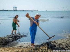 Через несколько дней в Анапе начнут избавляться от водорослей с помощью долгожданной уборочной машины