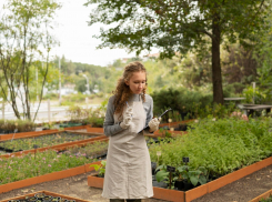 Анапчанам на заметку: как защитить сад и огород от жары 