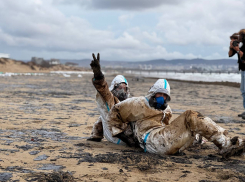 Подводные дроны и новые технологии: разработка сибирских ученых поможет очистить море в Анапе