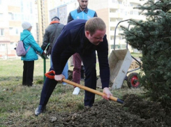 Руководители Анапы высадили ели и липы в рамках акции «Сады памяти»