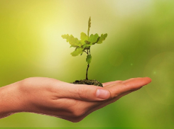 Во Всемирный день здоровья окружающей среды в Анапе облачно