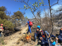 В Анапе нельзя посещать леса до 6 августа