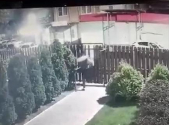 Агрессивный мужчина сломал калитку в ЖК «Привилегия» в Анапе