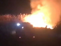 В Витязево под Анапой горели плавни