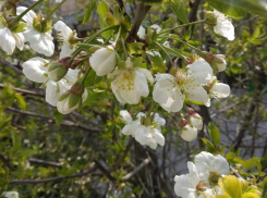В пятницу, 10 апреля, в Анапе такая погода, что аж сердцу радостно
