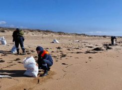 В Анапе и Темрюкском районе ликвидируют точечные выбросы нефтепродуктов