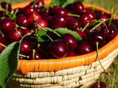 Анапчане поражены: выбор черешни может превратиться в русскую рулетку