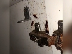 Тараканами в анапской больнице занялся минздрав Кубани