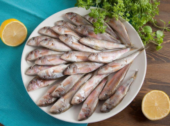 А знаете, почему в Анапе так популярна барабуля?