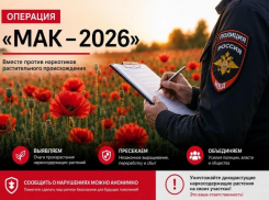 В Анапе стартовал первый этап операции «Мак – 2026»: полиция ищет наркосодержащие растения