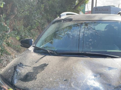 Полиция Анапы обнародовала фото иномарки, на которой сбили шесть туристов в Сукко