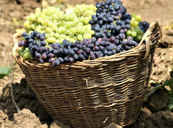 Анапская винодельня Галицкого зарегистрировала новый бренд