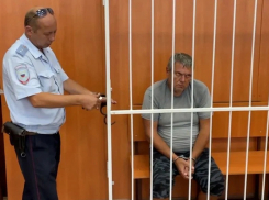 Суд в Анапе заключил под стражу педофила пристававшего к детям в детском лагере