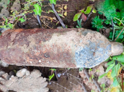  В поле под Анапой нашли 82-миллиметровую мину времен войны