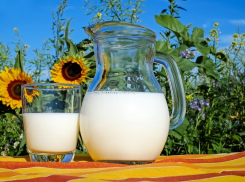 Молочный завод, продукция которого продаётся в Анапе, оштрафовали за фальсификат