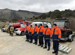 В Анапе оценили готовность служб к пожароопасному сезону