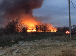 Официальная информация о пожаре в Анапе. Видео с места возгорания