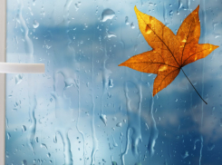 Погода в Анапе на субботу, 22 декабря