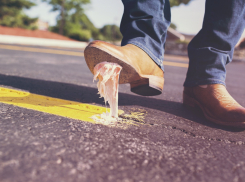 Гороскоп для анапчан с 15 по 21 августа: Тельцов ждут напряжённые дни