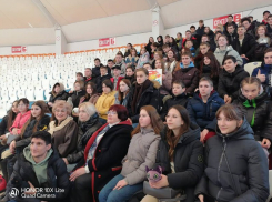 Ребятам из ДНР подарили поход в дельфинарий Анапы