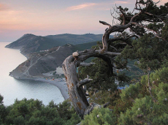 Природный заповедник «Утриш» вошел в турмаршрут «Золотое кольцо Боспорского царства»