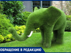 Надежда Огай предлагает создать в Анапе парк с «живыми» зелёными скульптурами