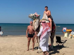 У фотоживодёра на пляже в Анапе изъяли верблюда