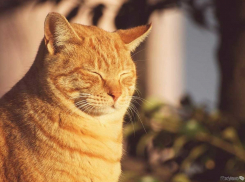 Погода в Анапе 4 февраля: тепло и ясно