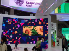 Анапчане могут поддержать родную Кубань на форуме «Россия» через интернет-голосование