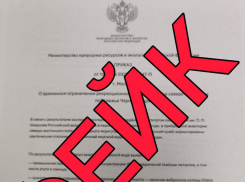 Фейк о закрытии побережья Сочи