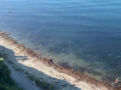На пляж 40 лет Победы штормом принесло красные водоросли