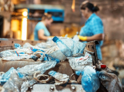 «Завод смерти»: жители Варениковской выступают против строительства мусорного комплекса «Анапа»