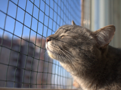 В воскресенье в Анапе потеплеет