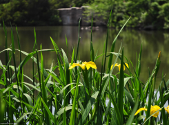 Какой будет погода в Анапе в понедельник, 8 июля?