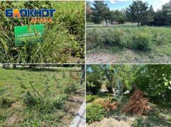 Провал реконструкции: анапчане о загубленном парке «Ореховая роща»