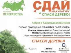  13 октября в Анапе пройдет эко-марафон: Сдай макулатуру - спаси дерево