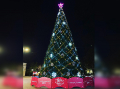 Анапчане тоже участвует во флешмобе #ЕлкиКубани