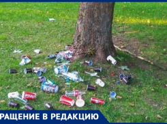 «Горы бутылок в парке»: анапчанин жалуется на оставленный туристами мусор