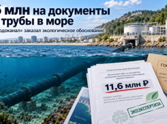 11,6 млн на документы для трубы в море: зачем «Анапа Водоканал» заказал экологическое обоснование