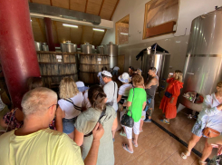 Праздник урожая прошёл в «Винной деревне» под Анапой