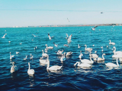 Такая яркая и праздничная: Анапа в объективе Анастасии Сувориной