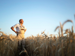 Анапские фермеры начнут работать с «Магнитом» и «Пятерочкой» на новых условиях