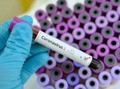В Анапу опасный коронавирус не просочится: специалисты работают, как часы