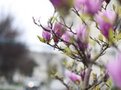 В день радио в Анапе ожидается очень сильный ветер 