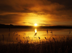 Жители хутора Рассвет в шоке: в речке нашли двух утопленниц