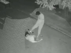 Анапчане интересуются: поймали ли маньяка, жестоко избившего девушку в центре города?