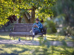 Анапчане могут высказать пожелания о том, какой быть Ореховой роще