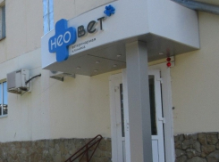 Ветеринарная клиника Анапы не прошла проверку Россельхознадзора - лишилась лицензии 