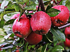 Сегодня, 5 сентября в Анапе ожидается небольшой дождь