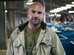 В Анапе дельфины сломали телеведущему два ребра